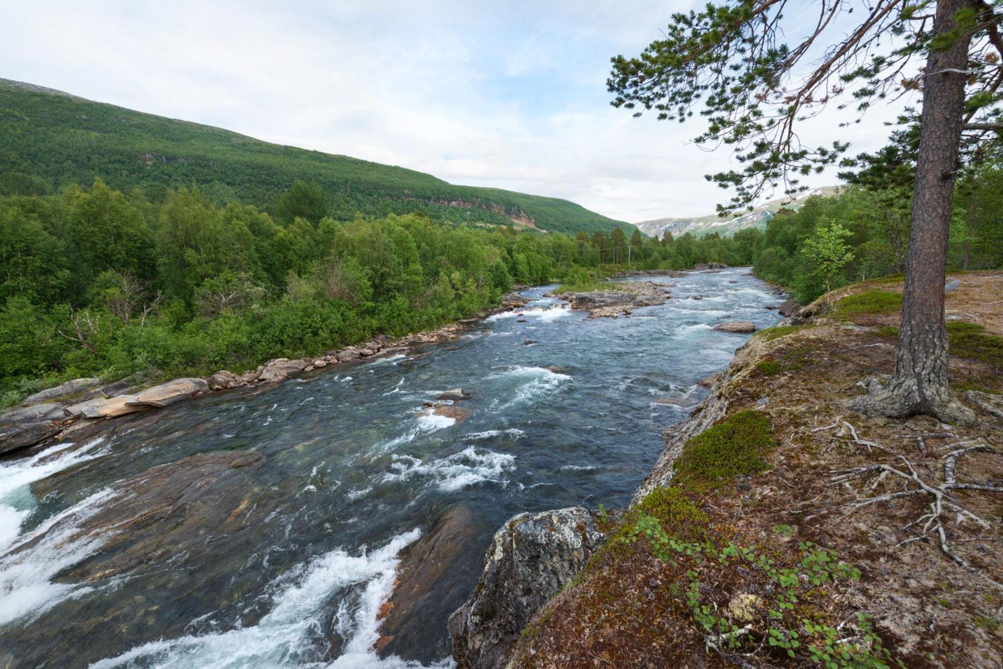 Krokstrand Fjellpark As Storforshei Exteriör bild